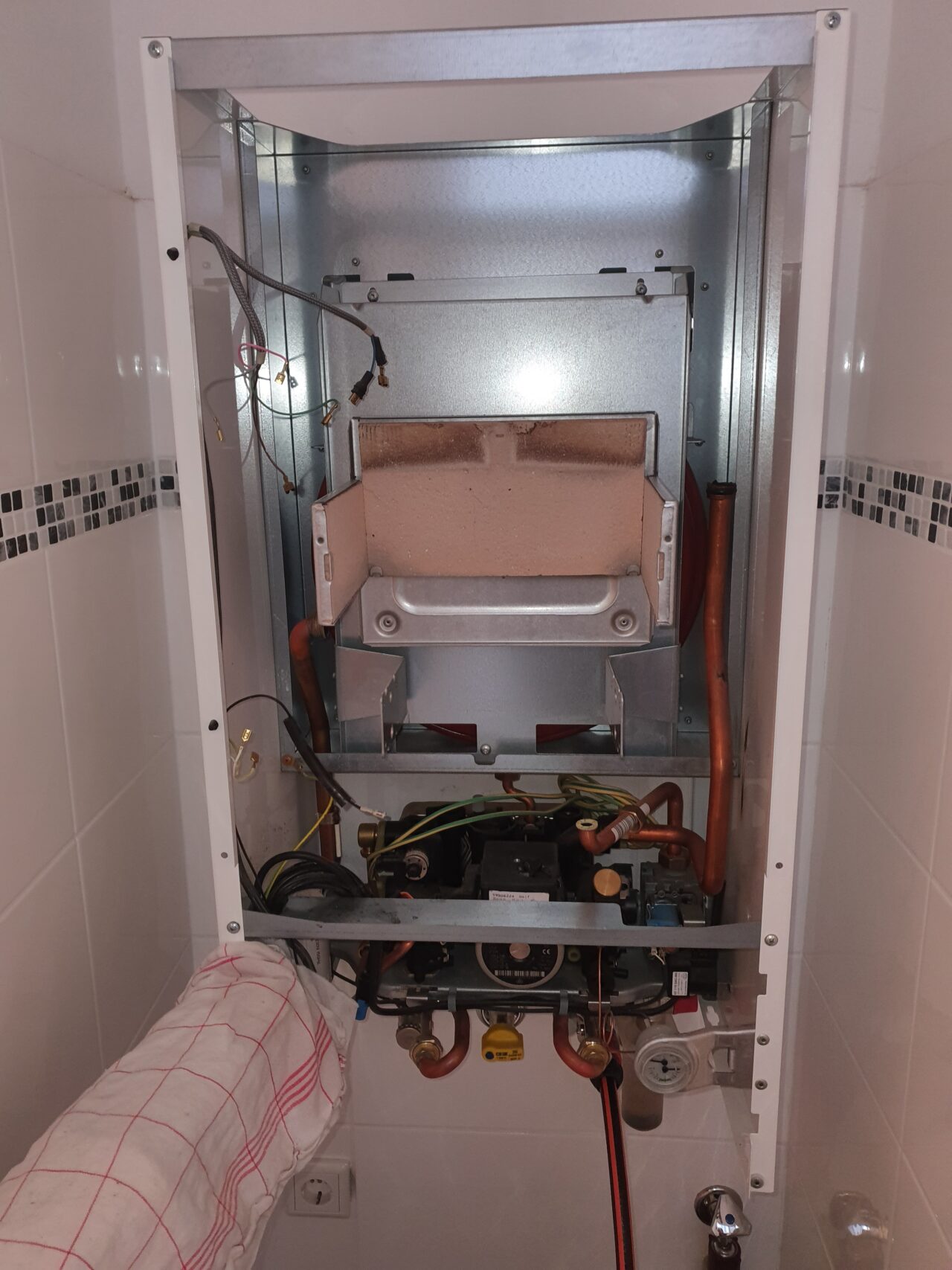 Pre_1 Wolf Pre_1 Wolf